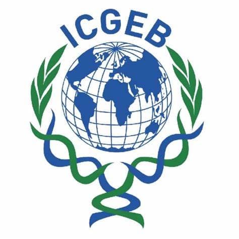 International Centre for Genetic Engineering and Biotechnology logo
